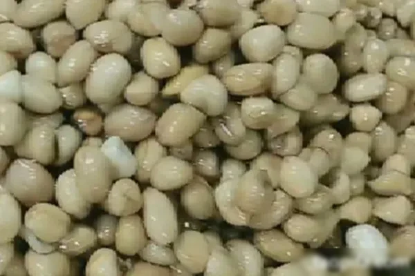 图片[1]-四季怪味花生米视频教程-小吃方略网