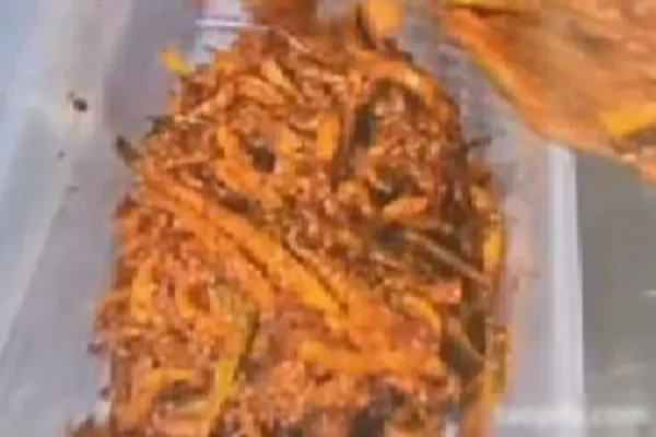 韩式香辣萝卜条和韩式香辣萝卜丝技术-小吃方略网