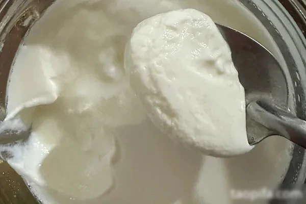 图片[1]-蜜思甜品五款手工酸奶一款麦片大合集一年四季都能火爆热销-小吃方略网