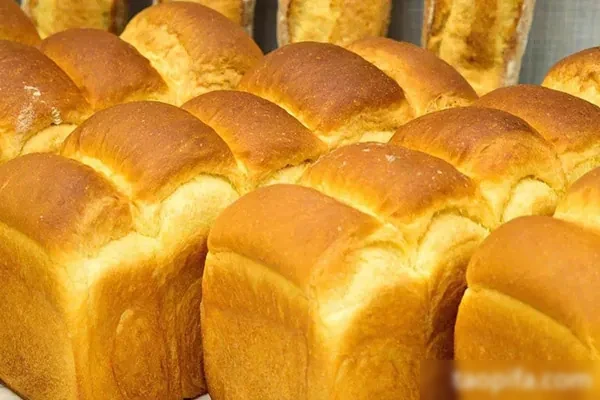 图片[1]-面包的十二个面团(视频课程+配方)-小吃方略网