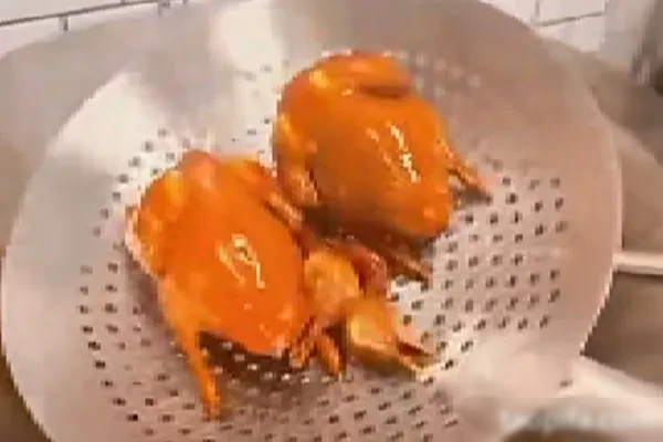 图片[1]-烧腊技术配方和视频教程（10套）合集-小吃方略网