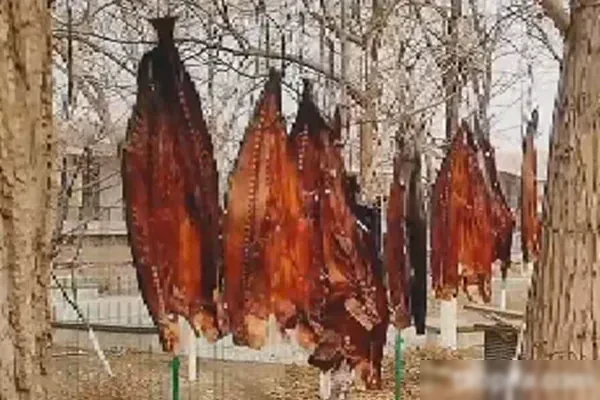 图片[1]-酱香风干手撕鲅鱼视频教程-小吃方略网