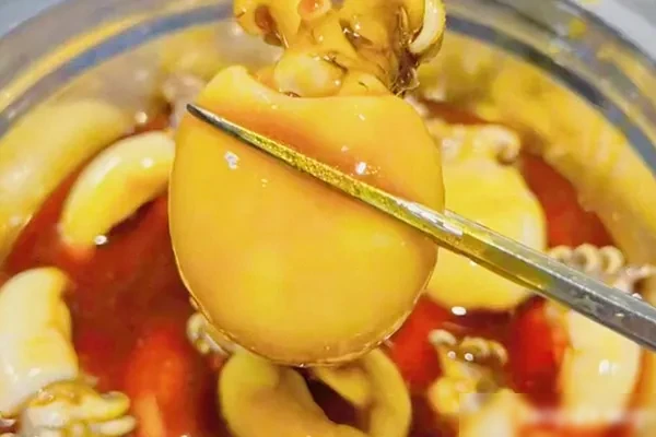 辣卤海鲜汁(纯商用配方)视频教程-小吃方略网