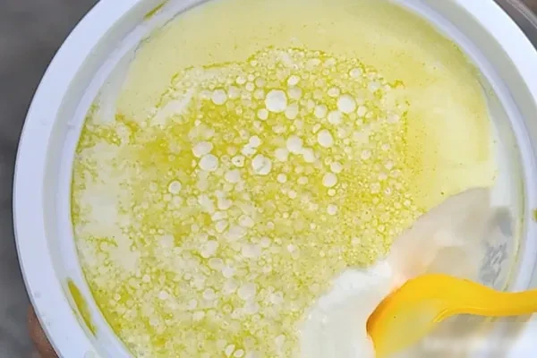 自制风味老酸奶视频教程-小吃方略网