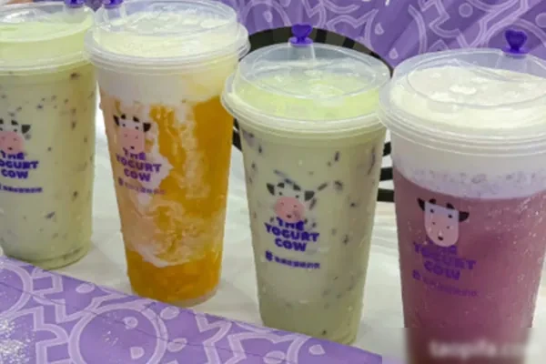 图片[1]-一只酸奶牛技术配方和视频教程-小吃方略网