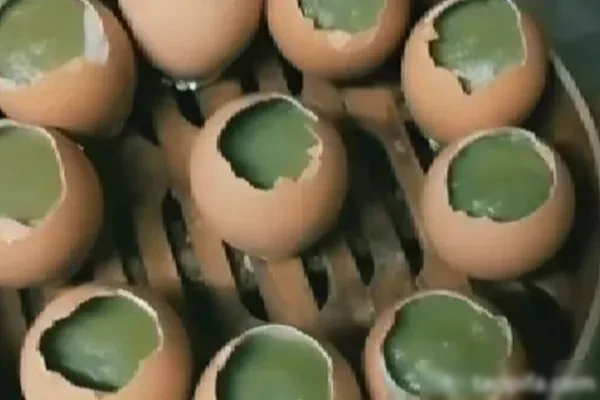 实蛋材料制作(商用版) 视频教程-小吃方略网