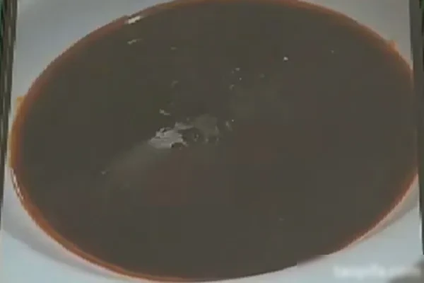 图片[1]-实用宫爆汁标准比例配方和视频教程-小吃方略网