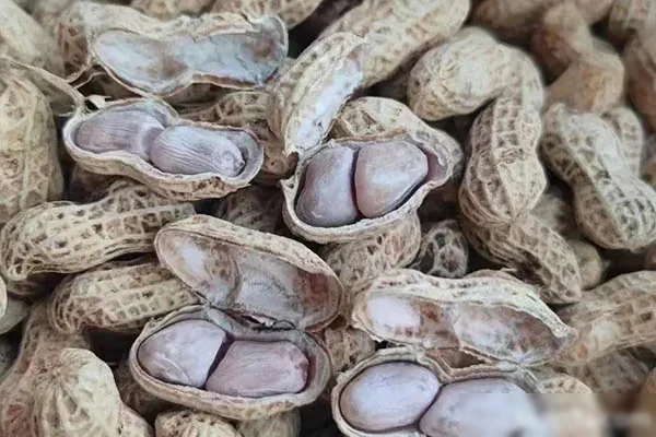 图片[1]-手工花生制作视频教程-小吃方略网