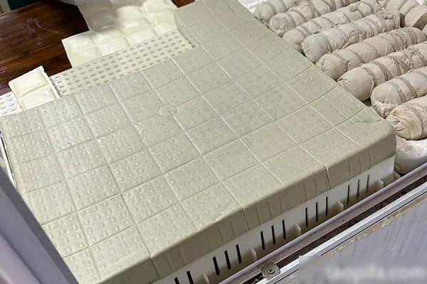 图片[1]-实体店豆腐制品加工技术配方资料-小吃方略网